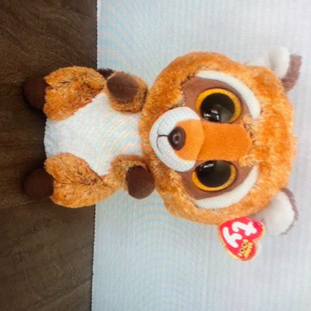Ty beanie Boo Rusty Racoon